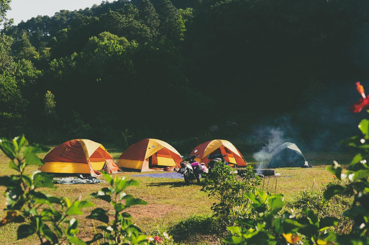 Linterna de camping iluminando un bosque