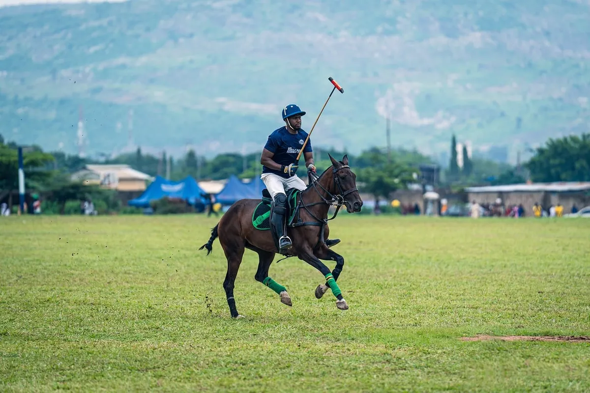 polo, horse, rider, mallet, game, green grass, outdoor, equestrian sport, helmet, competitive, person, landscape, competition, motion, leather, skill, nature, p